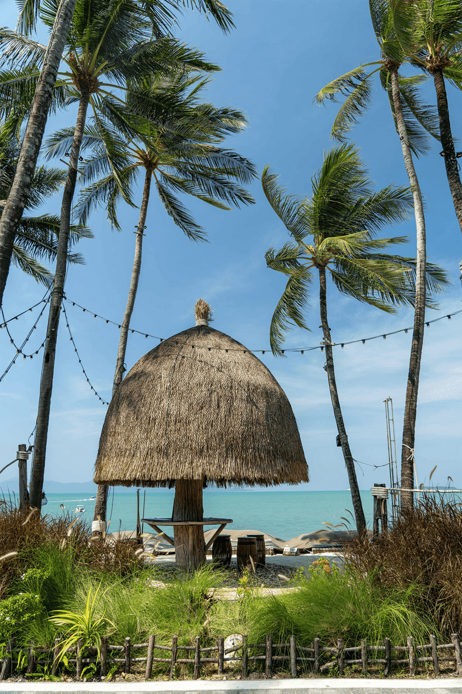 anton-lammert-C6l_7V18vHg-unsplash