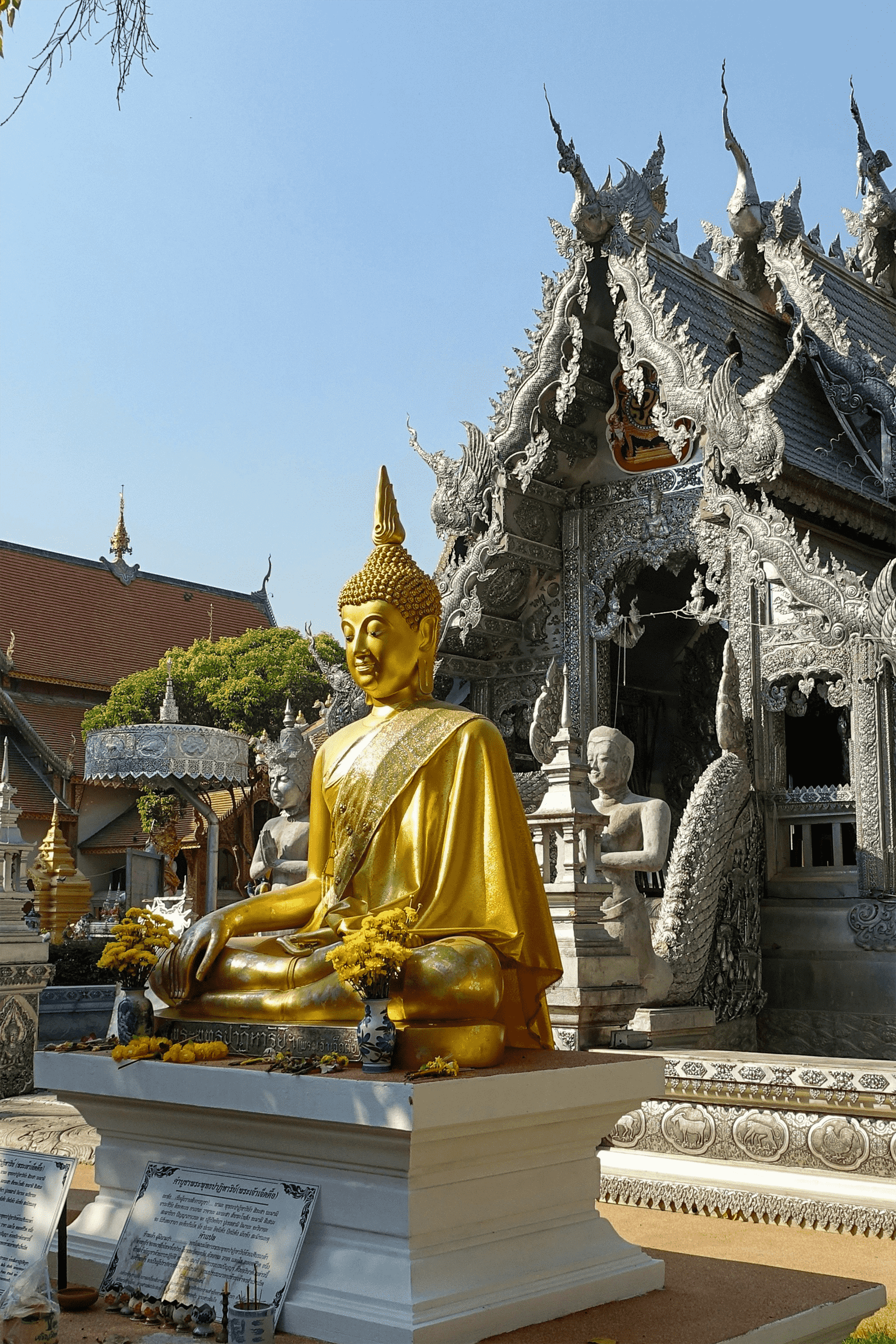 peter-borter-Hz-N7tCgCUo-unsplash